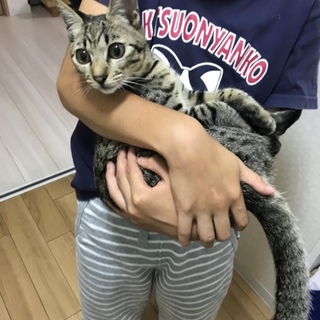家族大好き！個性派おまめ君♡