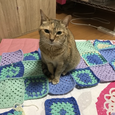 の写真