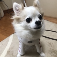ルビー