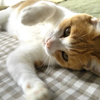 弟★片時も離れない甘えん坊男子