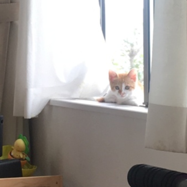 ちゃみやちのカバー写真