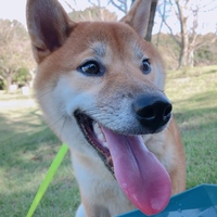 むさし