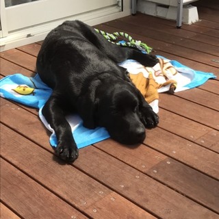 応募者多数に付き応募を一時中止させて頂きます。