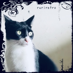 「めっきりご無沙汰しておりまして」サムネイル1