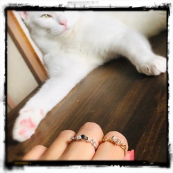 「めっきりご無沙汰しておりまして」サムネイル2