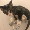 みずゆーにゃ