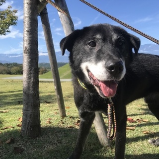 穏やかで明るいポノ♪