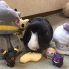 ハロウィン記念2019