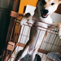 天