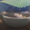 ちょっと休憩