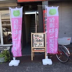 保護にゃん達の幸せ譲渡会in大和高田市