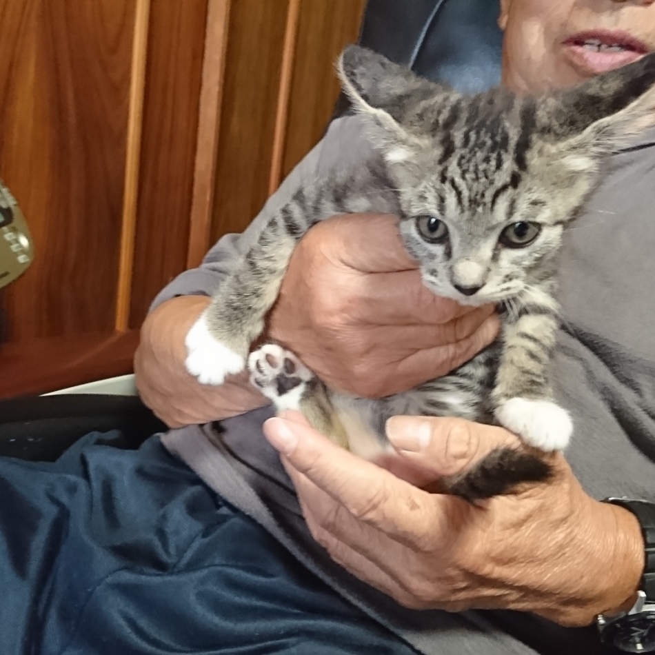 殿(との)のカバー写真