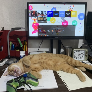 の写真