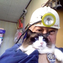 「うにちゃん、7歳の誕生日！」サムネイル1