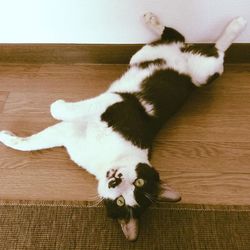 2度目の秋になりました