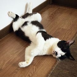 「2度目の秋になりました」サムネイル2