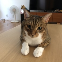 パンくん