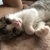 の写真