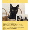 トライアル中黒猫だいずちゃん サムネイル3