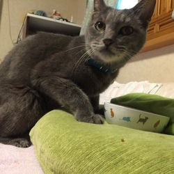 「明日があるさ〜 ♪」サムネイル2