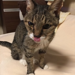 「明日があるさ〜 ♪」サムネイル3