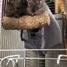 みんとちゃん
