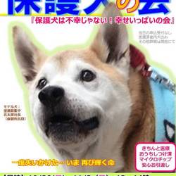 大フリマ(バザー)withGO!保護犬の会@静岡小山(富士霊園・富士スピードウェイ近く)