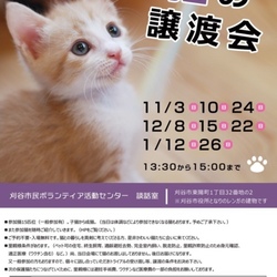 刈谷市で開催！  猫の譲渡会