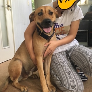 愛嬌たっぷり、バース先輩！！！