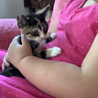 ありがとうございました！