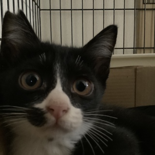 有難う御座いました