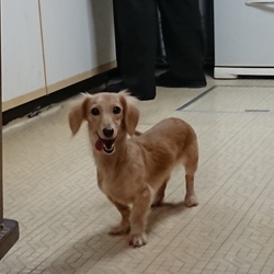 あひゃひゃひゃ(ﾟДﾟ;)