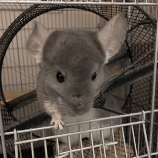 誠に勝ったながら応募を締め切らせて頂きます。