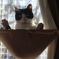 ちあき