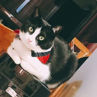 ルン