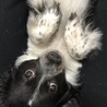 の写真