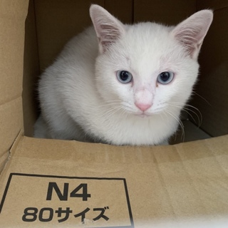 公園で生まれた僕に、温かい家族が出来ました☆