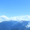 MZD