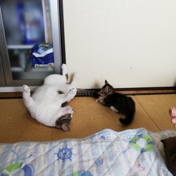 兄妹っていいね！