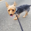 甘えん坊♪抱っこ大好き男の子♡