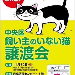 中央区 飼い主のいない猫 譲渡会