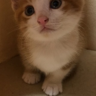 終了しました。