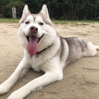 Nina