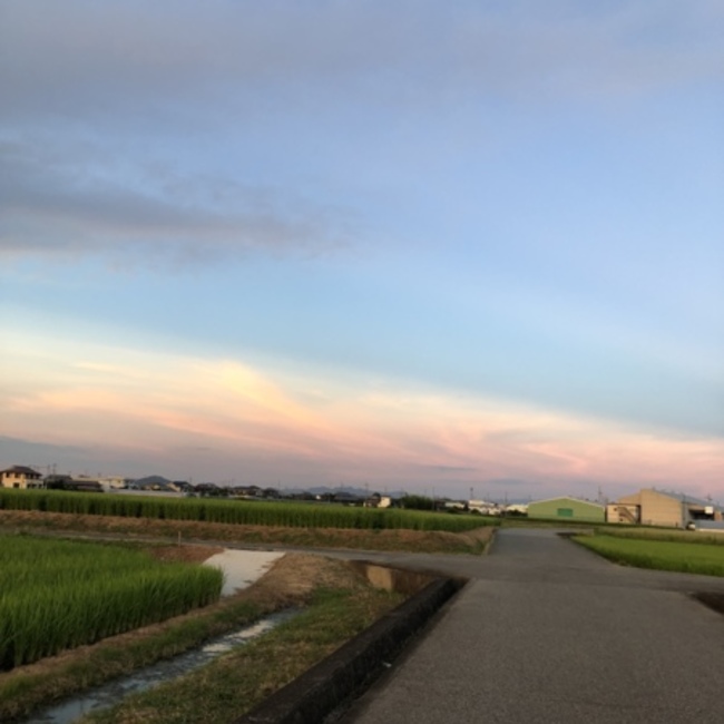 千829のカバー写真