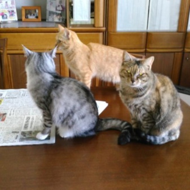 aki5296のカバー写真