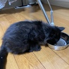 よく食べよく寝てよく遊ぶ。