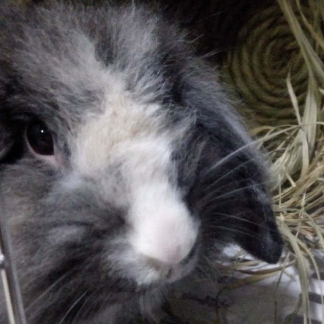 mariarituのカバー写真