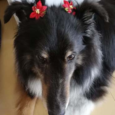 女の子じゃないのに・・・