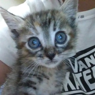 自宅出産！赤ちゃん！４人兄弟の一人 です！