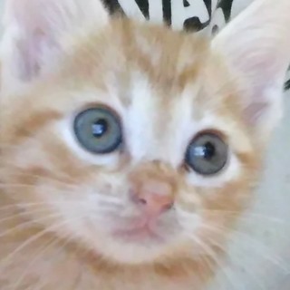 自宅出産！赤ちゃん！４人兄弟の一人 です！